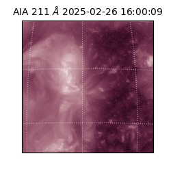 saia - 2025-02-26T16:00:09.626000