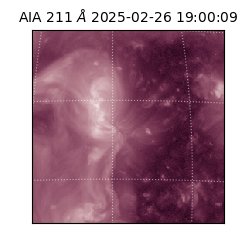 saia - 2025-02-26T19:00:09.626000