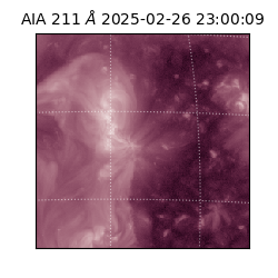 saia - 2025-02-26T23:00:09.630000