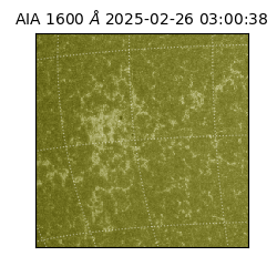 saia - 2025-02-26T03:00:38.125000