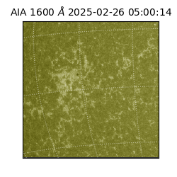 saia - 2025-02-26T05:00:14.125000