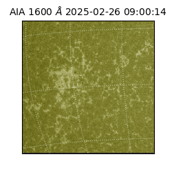 saia - 2025-02-26T09:00:14.125000