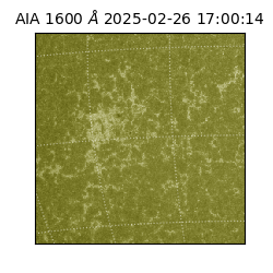 saia - 2025-02-26T17:00:14.125000