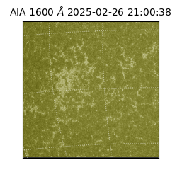 saia - 2025-02-26T21:00:38.130000