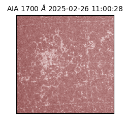 saia - 2025-02-26T11:00:28.720000