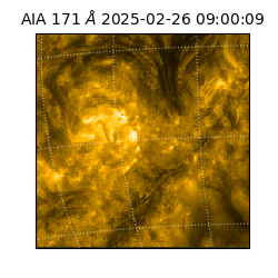 saia - 2025-02-26T09:00:09.350000
