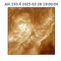 saia - 2025-02-26T19:00:04.843000