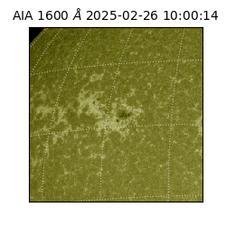 saia - 2025-02-26T10:00:14.126000