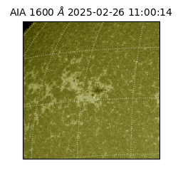 saia - 2025-02-26T11:00:14.125000