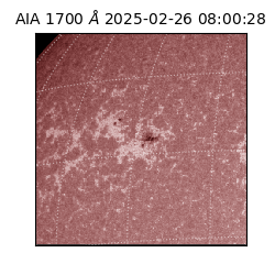 saia - 2025-02-26T08:00:28.720000