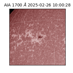 saia - 2025-02-26T10:00:28.721000