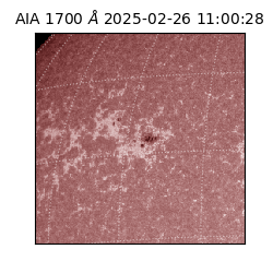 saia - 2025-02-26T11:00:28.720000