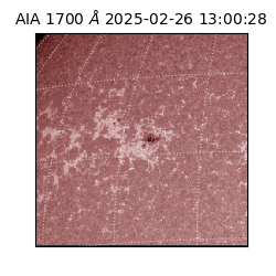 saia - 2025-02-26T13:00:28.720000