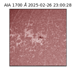 saia - 2025-02-26T23:00:28.717000