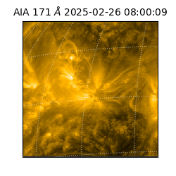 saia - 2025-02-26T08:00:09.350000