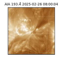 saia - 2025-02-26T08:00:04.842000