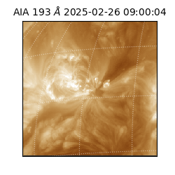 saia - 2025-02-26T09:00:04.843000