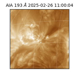 saia - 2025-02-26T11:00:04.843000