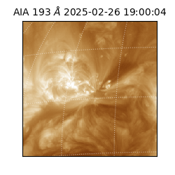 saia - 2025-02-26T19:00:04.843000