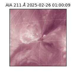 saia - 2025-02-26T01:00:09.626000