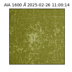 saia - 2025-02-26T11:00:14.125000