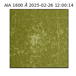 saia - 2025-02-26T12:00:14.126000