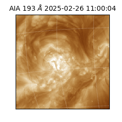 saia - 2025-02-26T11:00:04.843000