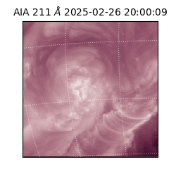 saia - 2025-02-26T20:00:09.623000