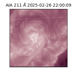 saia - 2025-02-26T22:00:09.626000