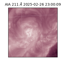 saia - 2025-02-26T23:00:09.630000