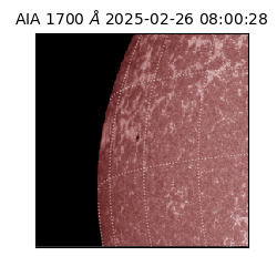 saia - 2025-02-26T08:00:28.720000