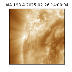 saia - 2025-02-26T14:00:04.843000
