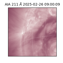 saia - 2025-02-26T09:00:09.626000