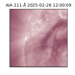 saia - 2025-02-26T12:00:09.626000