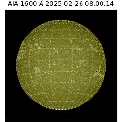 saia - 2025-02-26T08:00:14.125000
