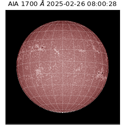 saia - 2025-02-26T08:00:28.720000