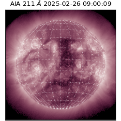 saia - 2025-02-26T09:00:09.626000