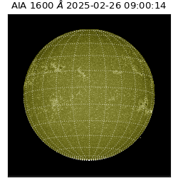 saia - 2025-02-26T09:00:14.125000