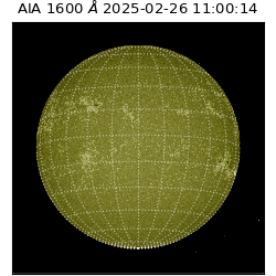 saia - 2025-02-26T11:00:14.125000