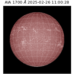 saia - 2025-02-26T11:00:28.720000