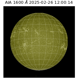 saia - 2025-02-26T12:00:14.126000