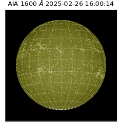 saia - 2025-02-26T16:00:14.122000