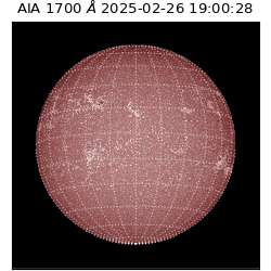 saia - 2025-02-26T19:00:28.717000