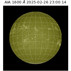 saia - 2025-02-26T23:00:14.129000