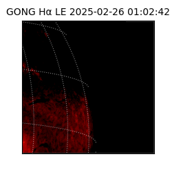 gong - 2025-02-26T01:02:42