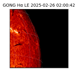 gong - 2025-02-26T02:00:42