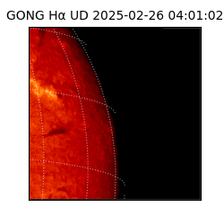 gong - 2025-02-26T04:01:02