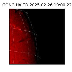 gong - 2025-02-26T10:00:22