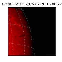 gong - 2025-02-26T16:00:22
