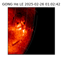 gong - 2025-02-26T01:02:42